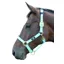 Hy Equestrian Deluxe Padded Head Collar - Bright Blue